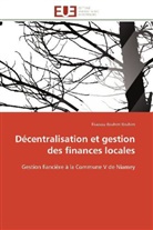 Illiassou Ibrahim Ibrahim, Ibrahim Ibrahim-I - Decentralisation et gestion des