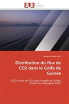 Kouakou Urbain Koffi, Koffi-K - Distribution du flux de co2 dans