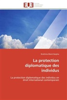 Ibrahima Mané Dasylva, Dasylva-I - La protection diplomatique des