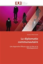 Doudou Mirefu Zinde, Zinde-d - La diplomatie communautaire