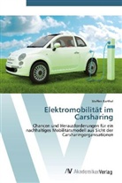 Steffen Barthel - Elektromobilität im Carsharing