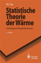 Wilhelm Brenig - Statistische Theorie der Wärme