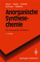 Bod Heyn, Bodo Heyn, Bern Hipler, Bernd Hipler, Günter Kreisel, Günter u a Kreisel... - Anorganische Synthesechemie