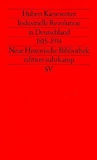 Hubert Kiesewetter - Industrielle Revolution in Deutschland 1815-1914