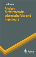 Dieter Hoffmann - Analysis für Wirtschaftswissenschaftler und Ingenieure