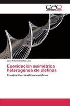 Jairo Antonio Cubillos Lobo - Epoxidación asimétrica heterogénea de olefinas