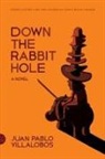 Juan Pablo Villalobos, Juan Pablo/ Harvey Villalobos - Down the Rabbit Hole