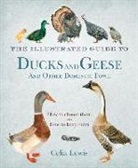 Andrew Lewis, Celia Lewis - The Illustrated Guide to Ducks and Geese and Other Domestic Fowl