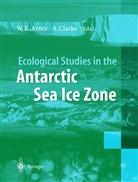 Wolf E. Arntz, Andrew Clarke - Ecological Studies in the Antarctic Sea Ice Zone