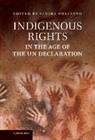 Elvira Pulitano, Elvira (California Polytechnic State Uni Pulitano, Pulitano Elvira, Elvira Pulitano, Pulitano Elvira - Indigenous Rights in the Age of the Un Declaration