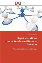 Matthieu Brucher, Brucher-m - Representations compactes de