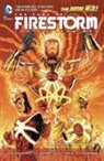 Gail Simone, Ethan Van Sciver, Ethan/ Simone Van Sciver, Yildiray Cinar, Gail Simone, Ethan Van Sciver - The Fury of Firestorm: the Nuclear Man 1