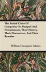 William Davenport Adams - The Buried Cities of Campania; Or, Pompeii and Herculaneum, Their History, Their Destruction, and Their Remains
