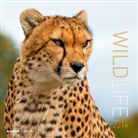 Wildlife, Broschürenkalender 2013