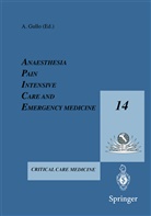 Antonino Gullo, Gullo, A Gullo, A. Gullo - Anesthesia, Pain, Intensive Care and Emergency Medicine - A.P.I.C.E.
