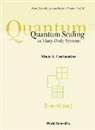 Mucio A Continentino, Mucio A. Continentino - Quantum Scaling in Many-Body Systems