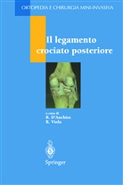 Roberto D'Anchise, Milano R. D'Anchise, Renato Viola - Il legamento crociato posteriore