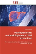 Fabien Balezeau, Balezeau-f - Developpements methodologiques en