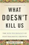 Stephen Joseph - What Doesn't Kill Us