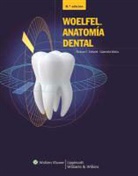 Rickne C. Scheid, Rickne C. Weiss Scheid, Gabriela Weiss - Woelfel. Anatomia Dental