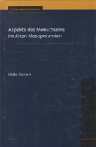 Ulrike Steinert - Aspekte des Menschseins im Alten Mesopotamien