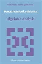 D. Przeworska-Rolewicz, Danuta Przeworska-Rolewicz - Algebraic Analysis