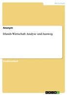 anonym, Anonymous - Irlands Wirtschaft: Analyse und Ausweg