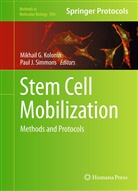 Mikhai G Kolonin, Mikhail G Kolonin, J Simmons, J Simmons, Mikhail Kolonin, Mikhail G. Kolonin... - Stem Cell Mobilization