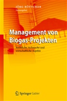 Jör Böttcher, Jörg Böttcher - Management von Biogas-Projekten