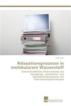 Irina Tulin - Relaxationsprozesse in molekularem Wasserstoff