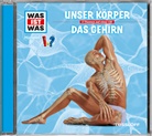 Dr Manfred Baur, Manfred Baur, Manfred (Dr.) Baur, Matthias Falk, Anna Carlsson, Crock Krumbiegel... - WAS IST WAS Hörspiel: Unser Körper / Das Gehirn, Audio-CD (Hörbuch)