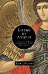 Joel J Miller, Joel J. Miller - Lifted By Angels