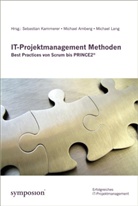 Michael Amberg, Sebastian Kammerer, Michael Lang - IT-Projektmanagement-Methoden
