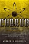 Robert Muchamore - Divine Madness