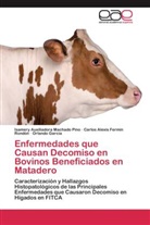 C Fermín Rondón, Carlos Alexis Fermín Rondón, Orlando García, Isamery Auxiliador Machado Pino, Isamery Auxiliadora Machado Pino - Enfermedades que Causan Decomiso en Bovinos Beneficiados en Matadero