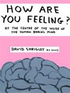 David Shrigley - How Are You Feeling?