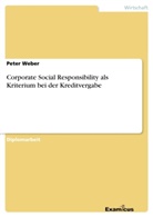 Peter Weber - Corporate Social Responsibility als Kriterium bei der Kreditvergabe