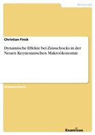 Christian Finck - Dynamische Effekte bei Zinsschocks in der Neuen Keynesianschen Makroökonomie