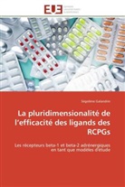 Ségolène Galandrin, Galandrin-s - La pluridimensionalite de l