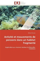Olivier Chateau, Chateau-o - Activite et mouvements de