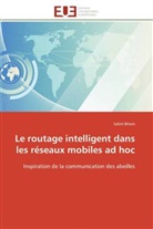 Salim Bitam, Bitam-s - Le routage intelligent dans les