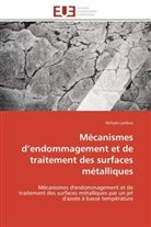 Hicham Laribou, Laribou-h - Mecanismes d endommagement et de