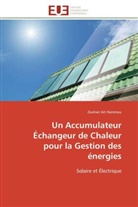 Zouhair Ait Hammou, Hammou-z - Un accumulateur echangeur de