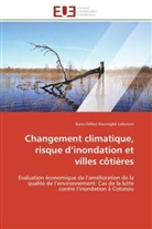 Boris Odilon Kounagbè Lokonon, Lokonon-b - Changement climatique, risque d