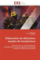 Christin Campagne, Christine Campagne, Auréli Cayla, Aurélie Cayla, Eric Devaux - Elaboration de detecteurs souples