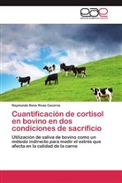 Raymundo Rene Rivas Caceres - Cuantificación de cortisol en bovino en dos condiciones de sacrificio