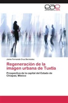 Jaime Fernando Cruz Bermúdez - Regeneración de la imagen urbana de Tuxtla
