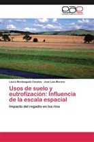 Laur Monteagudo Canales, Laura Monteagudo Canales, Jose Luis Moreno - Usos de suelo y eutrofización: Influencia de la escala espacial