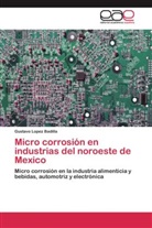 Gustavo Lopez Badilla - Micro corrosión en industrias del noroeste de Mexico