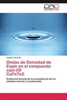 Angel E Rivas M, Angel E. Rivas M. - Ondas de Densidad de Espín en el compuesto casi-2D CuFeTe2